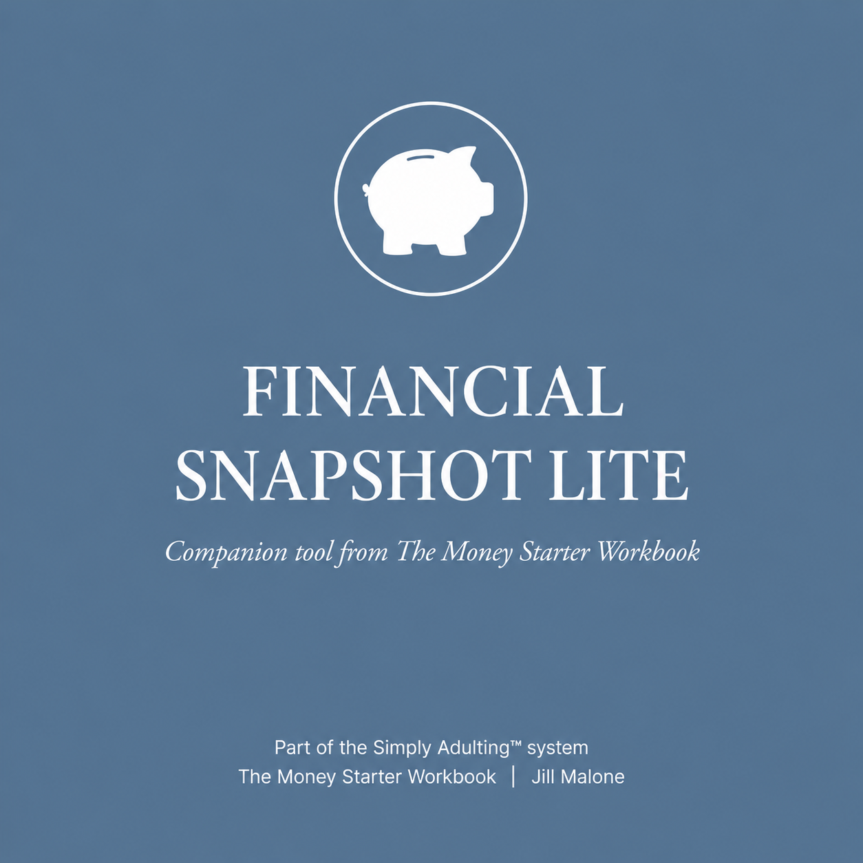Financial Snapshot Lite | Simply Adulting™ (Free)
